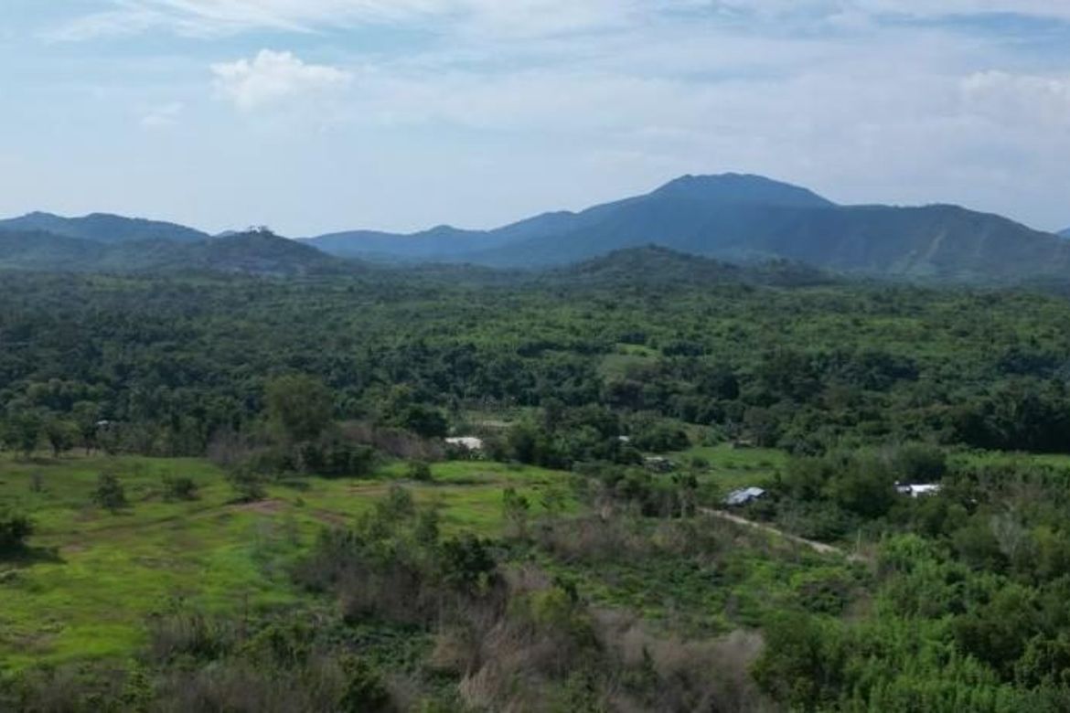 Land for Sale in Bacungan, Puerto Princesa, Palawan – photo 6