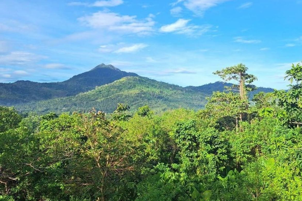Land for Sale in Bacungan, Puerto Princesa, Palawan