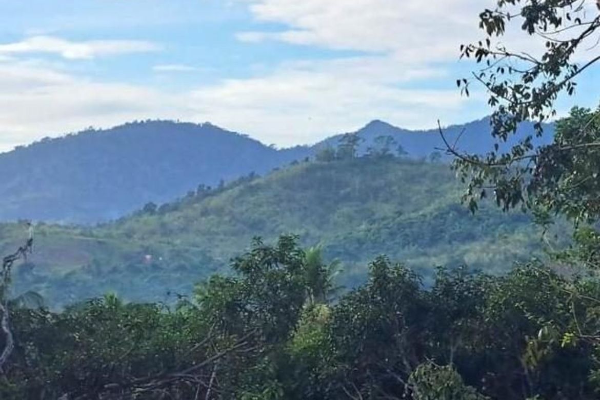 Land for Sale in Bacungan, Puerto Princesa, Palawan – photo 2