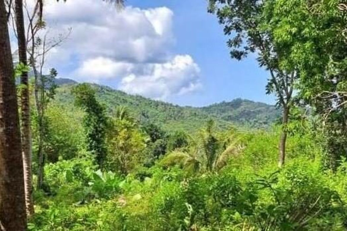 Land for Sale in Bacungan, Puerto Princesa, Palawan – photo 3