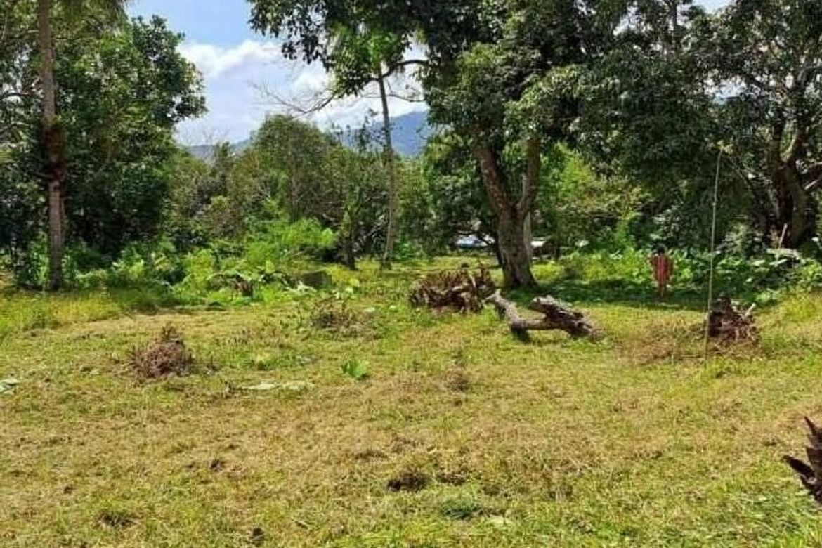 Land for Sale in Bacungan, Puerto Princesa, Palawan – photo 5