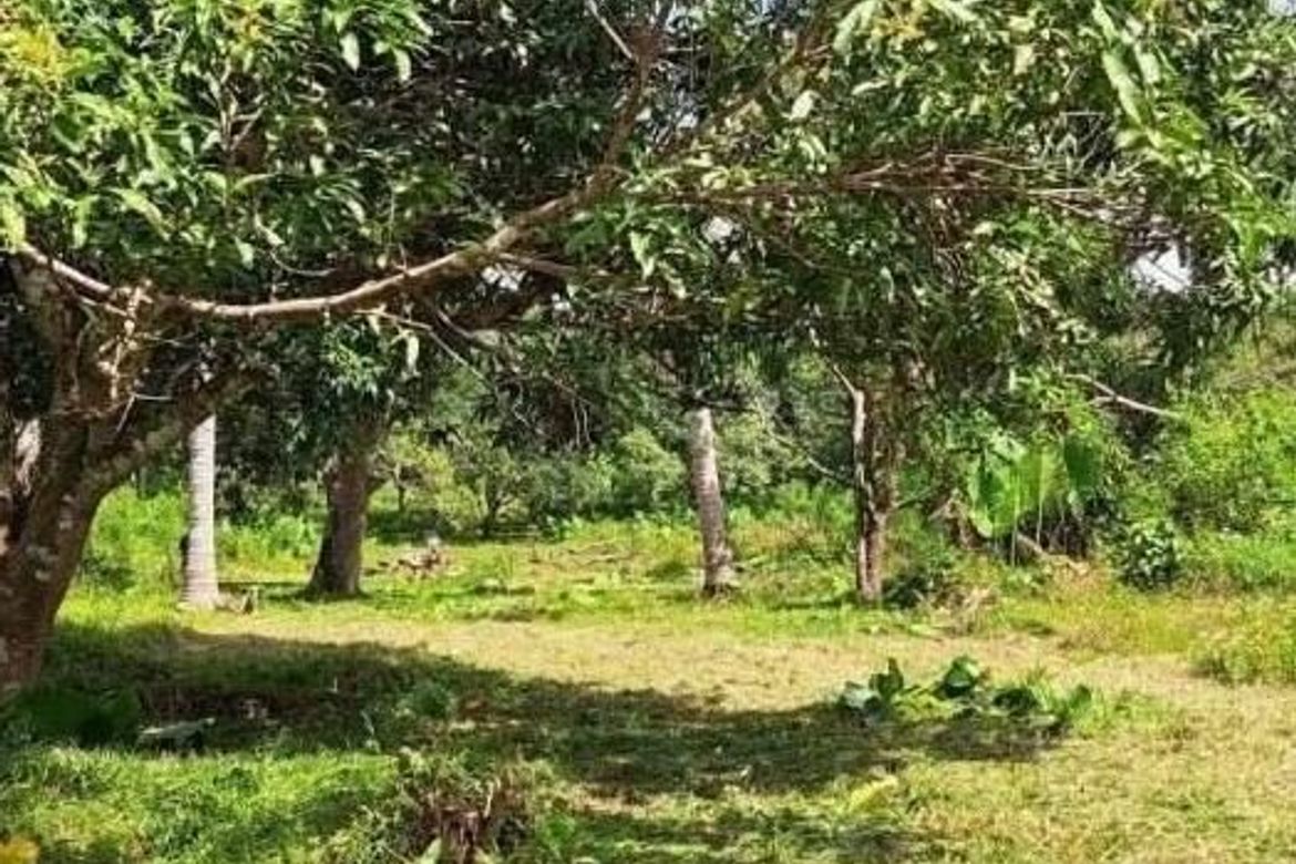 Land for Sale in Bacungan, Puerto Princesa, Palawan – photo 7