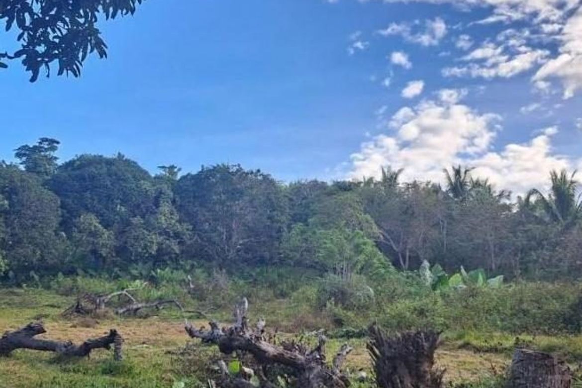 Land for Sale in Bacungan, Puerto Princesa, Palawan – photo 8