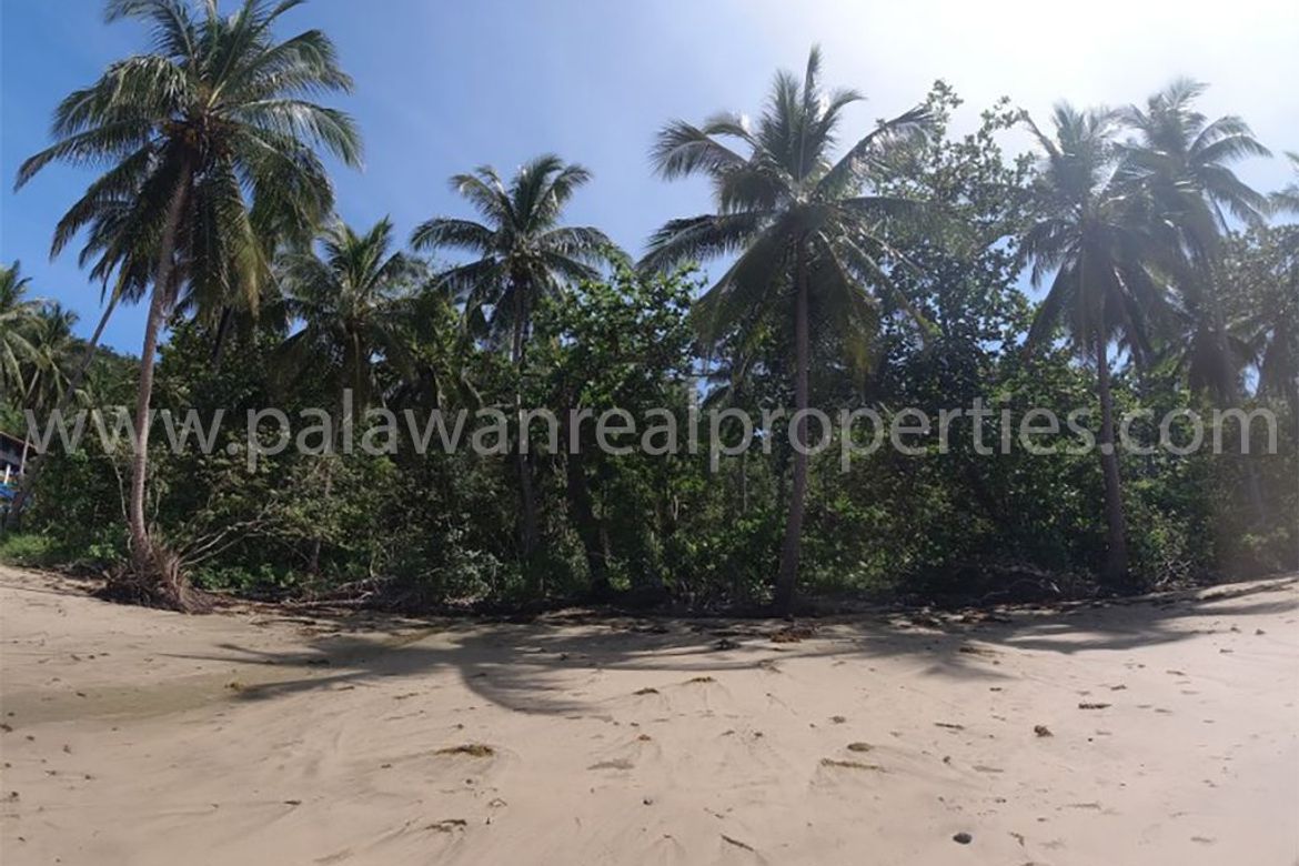 Land for Sale in Bacungan, Puerto Princesa, Palawan – photo 6