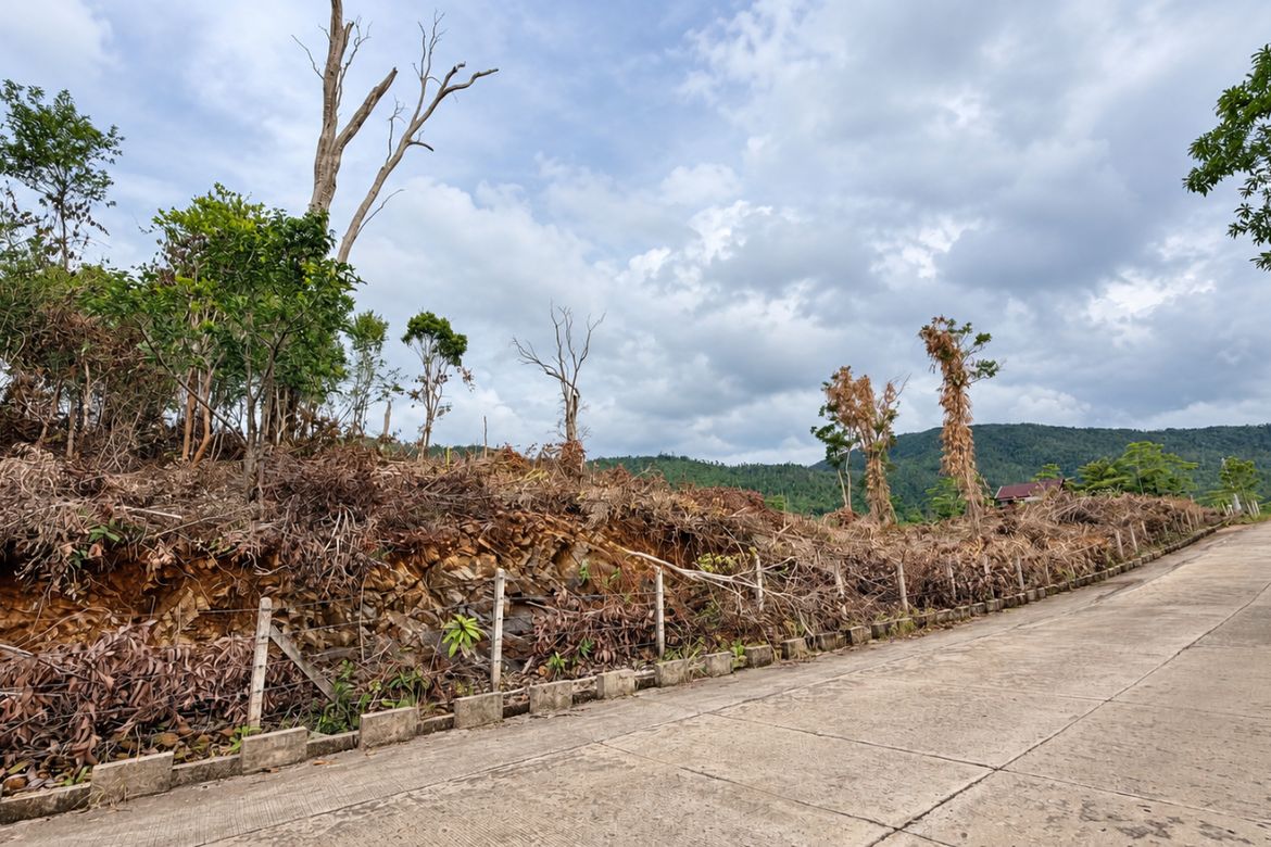 Land for Sale in Bacungan, Puerto Princesa, Palawan – photo 2