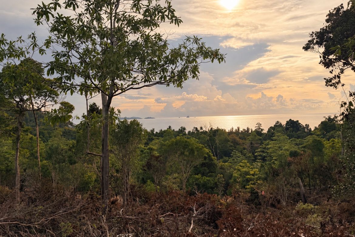 Land for Sale in Bacungan, Puerto Princesa, Palawan – photo 3