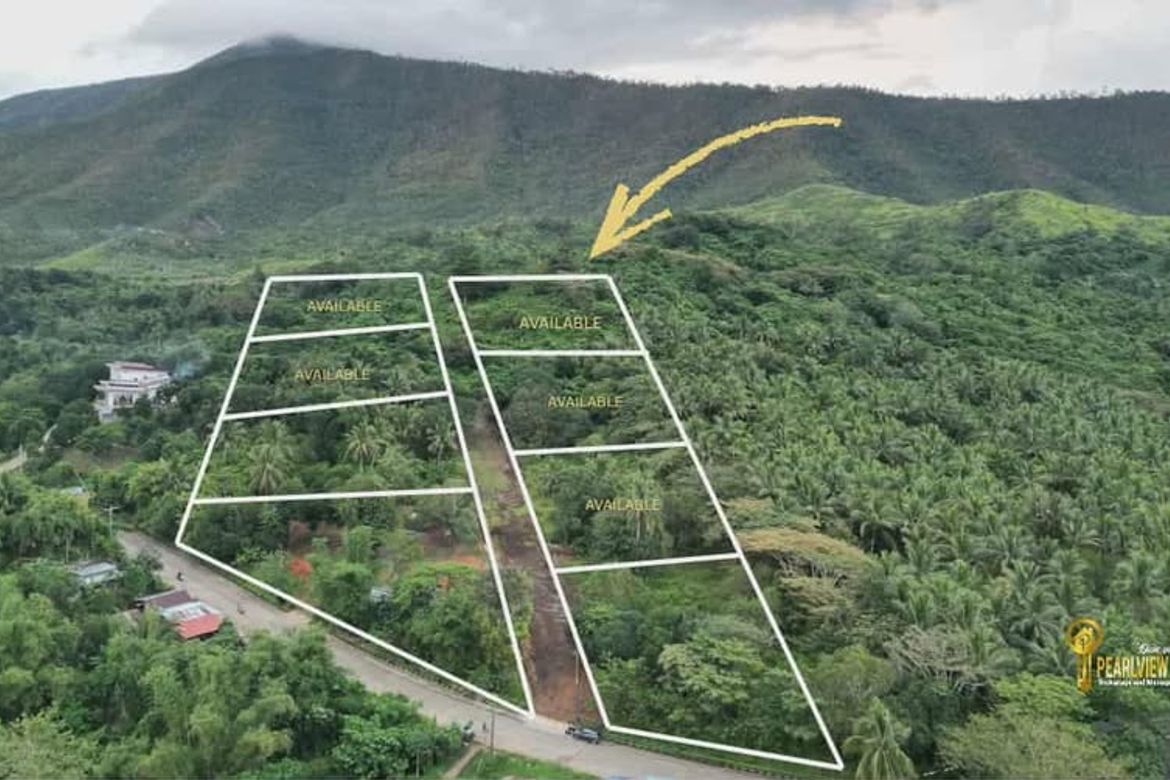 Land for Sale in Bacungan, Puerto Princesa, Palawan