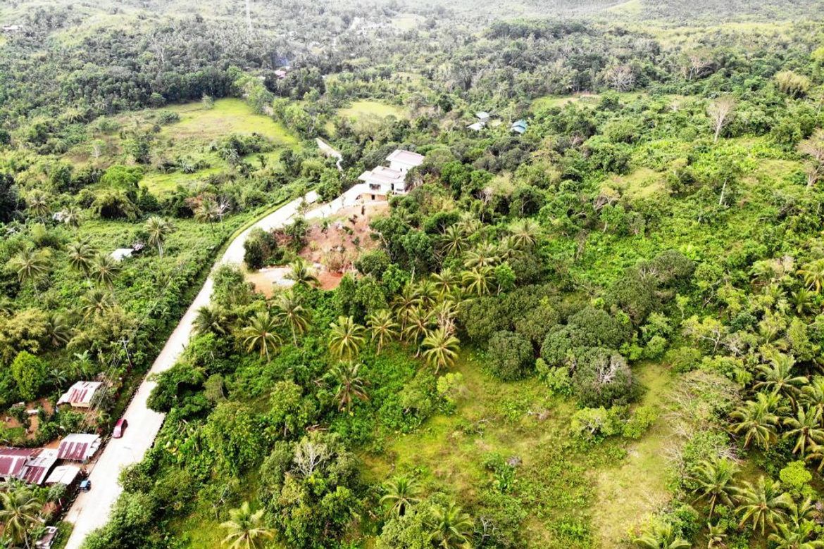 Land for Sale in Bacungan, Puerto Princesa, Palawan – photo 2