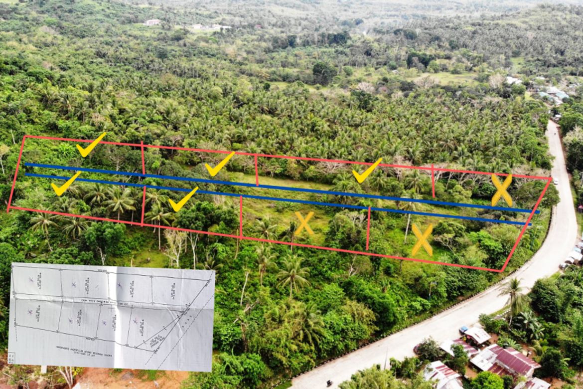Land for Sale in Bacungan, Puerto Princesa, Palawan – photo 4