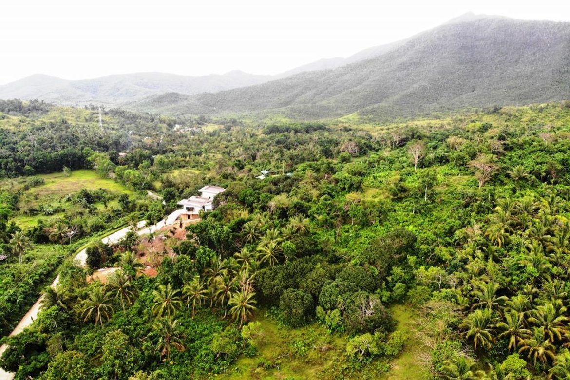Land for Sale in Bacungan, Puerto Princesa, Palawan – photo 5