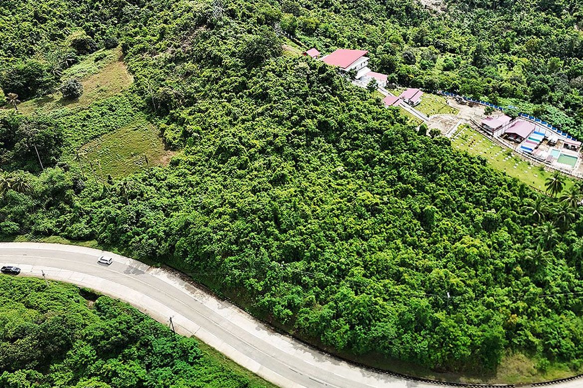 Land for Sale in Bacungan, Puerto Princesa, Palawan – photo 3