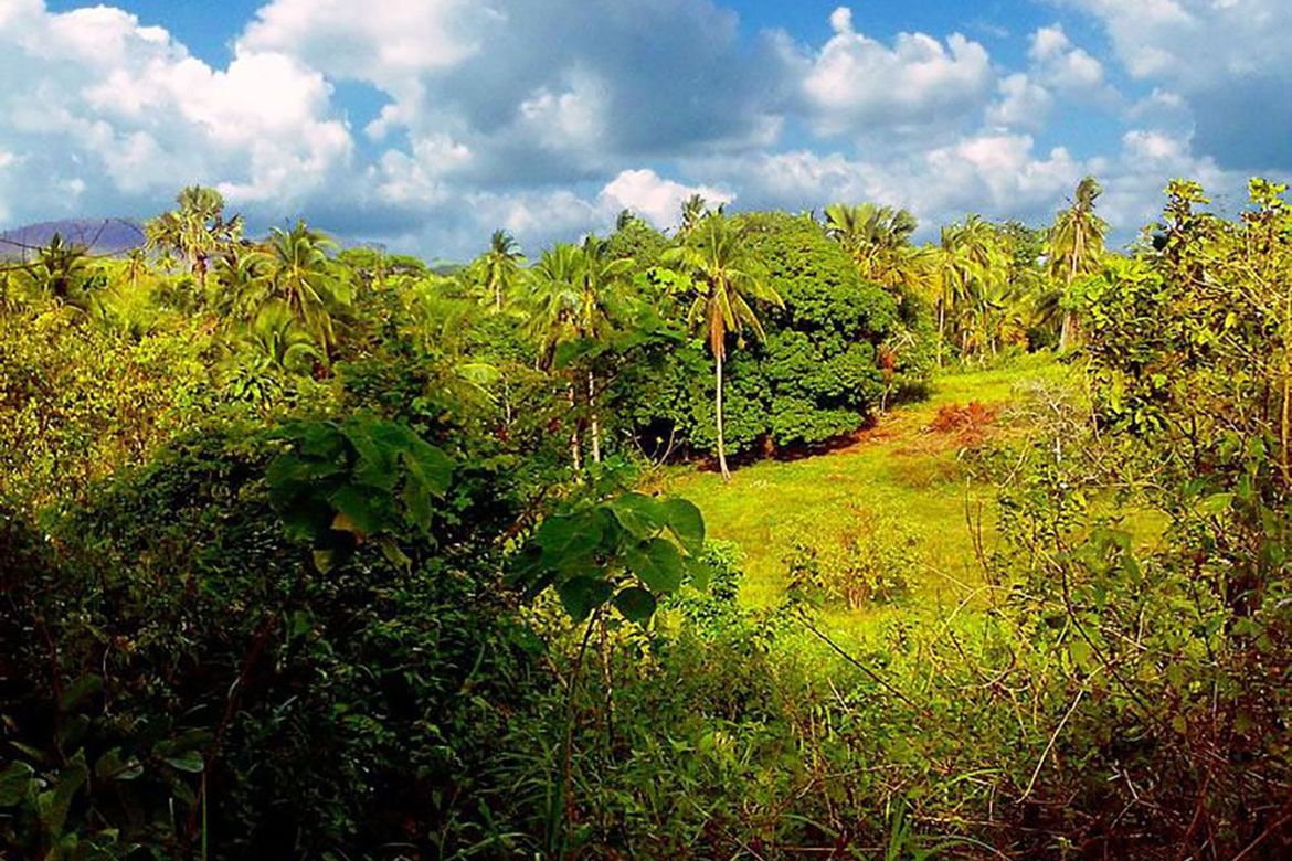 Land for Sale in Bacungan, Puerto Princesa, Palawan – photo 7