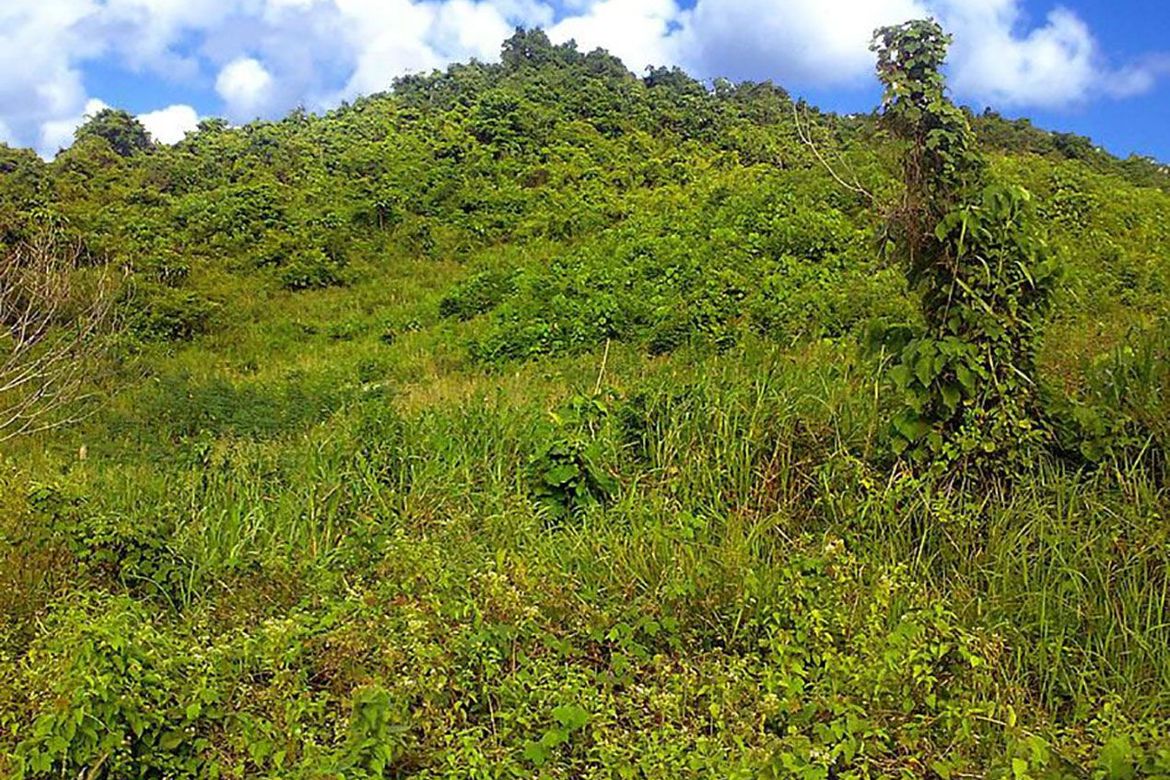Land for Sale in Bacungan, Puerto Princesa, Palawan – photo 8