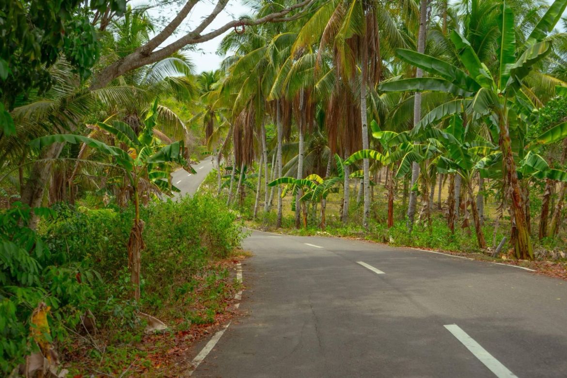 Land for Sale in Bagacay, Borbon, Cebu – photo 3