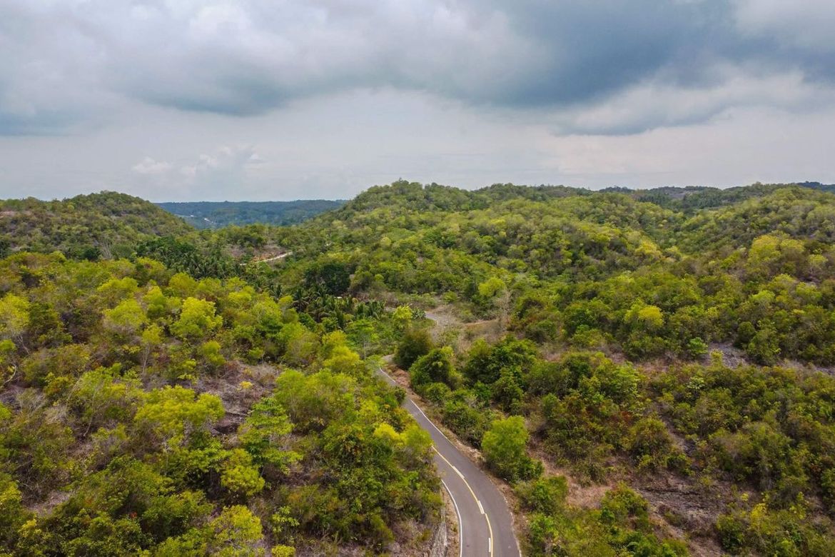 Land for Sale in Bagacay, Borbon, Cebu – photo 6