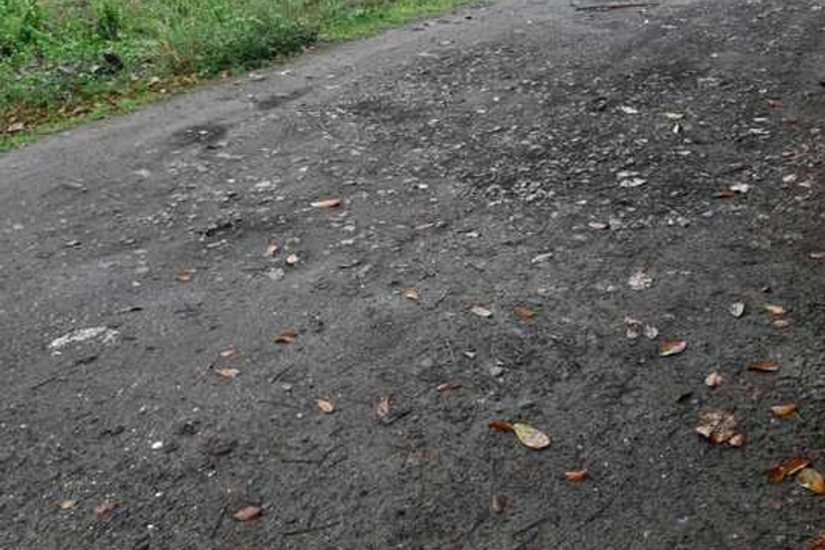 Land for Sale in Bagacay, Dumaguete, Negros Oriental – photo 5