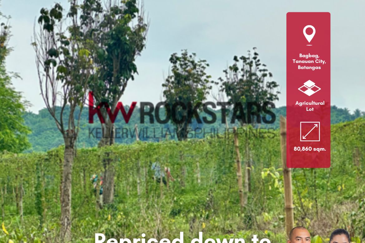 Land for Sale in Bagbag, Tanauan, Batangas