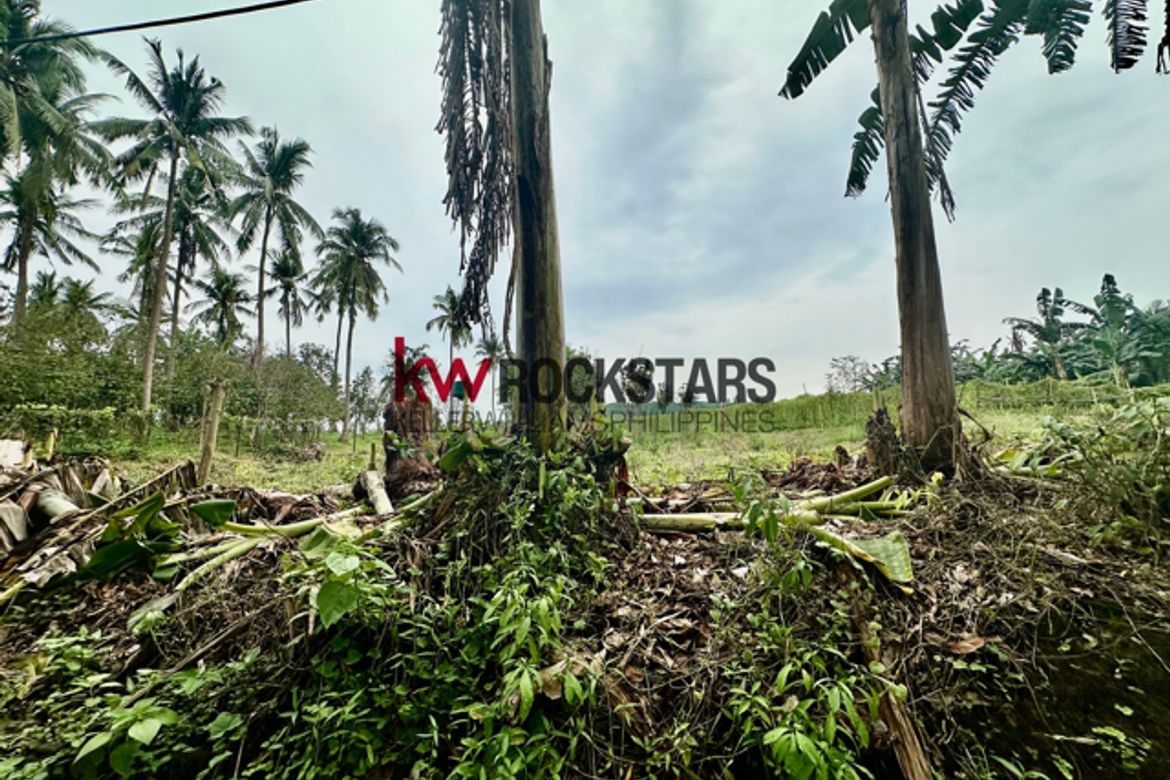 Land for Sale in Bagbag, Tanauan, Batangas – photo 6