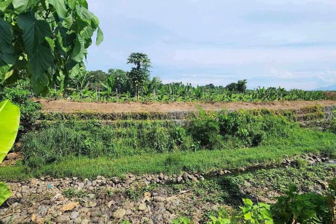 Land for Sale in Bago Aplaya, Davao City, Davao del Sur