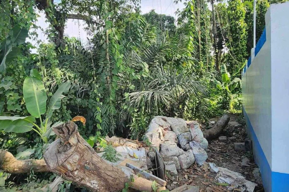 Land for Sale in Bago Aplaya, Davao City, Davao del Sur – photo 3