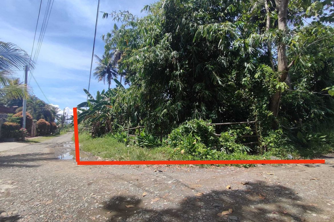 Land for Sale in Bago Aplaya, Davao City, Davao del Sur – photo 2