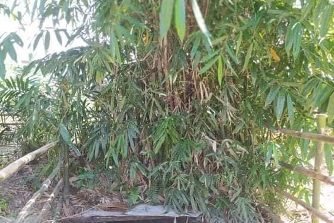 Land for Sale in Bago Aplaya, Davao City, Davao del Sur – photo 3