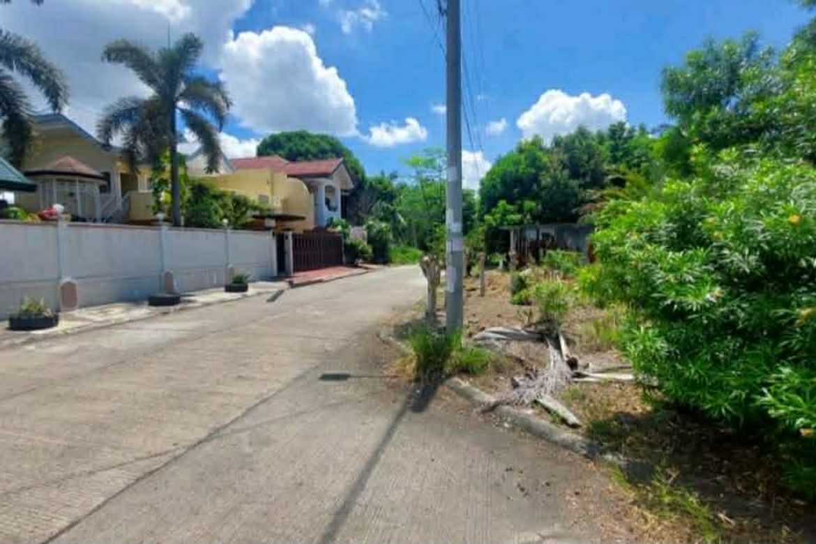 Land for Sale in Bago Aplaya, Davao City, Davao del Sur – photo 3