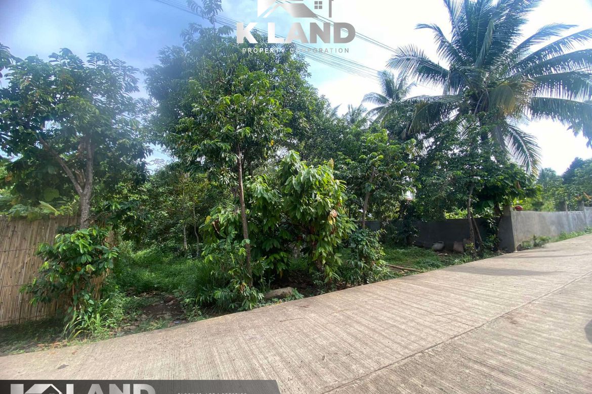 Land for Sale in Bago Oshiro, Davao City, Davao del Sur – photo 2