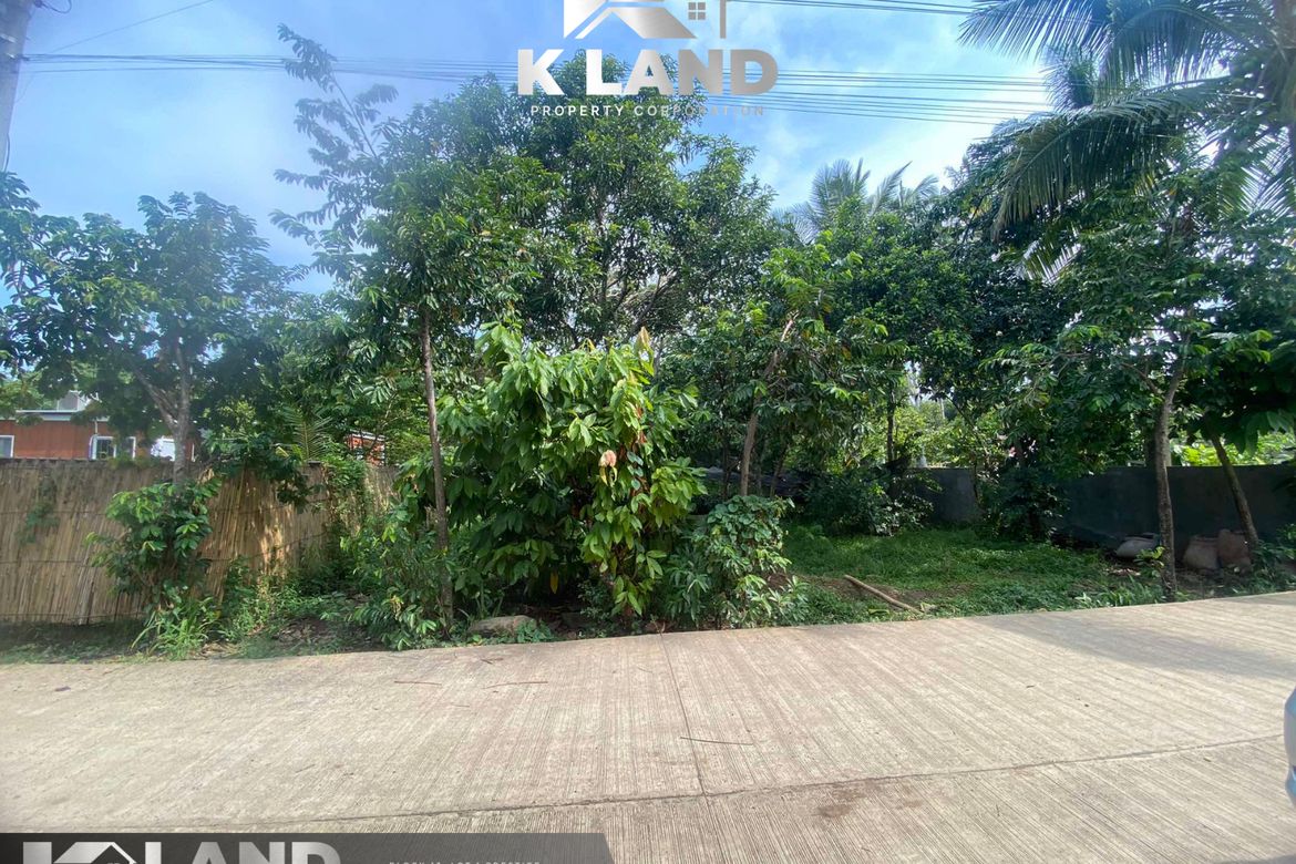 Land for Sale in Bago Oshiro, Davao City, Davao del Sur – photo 4