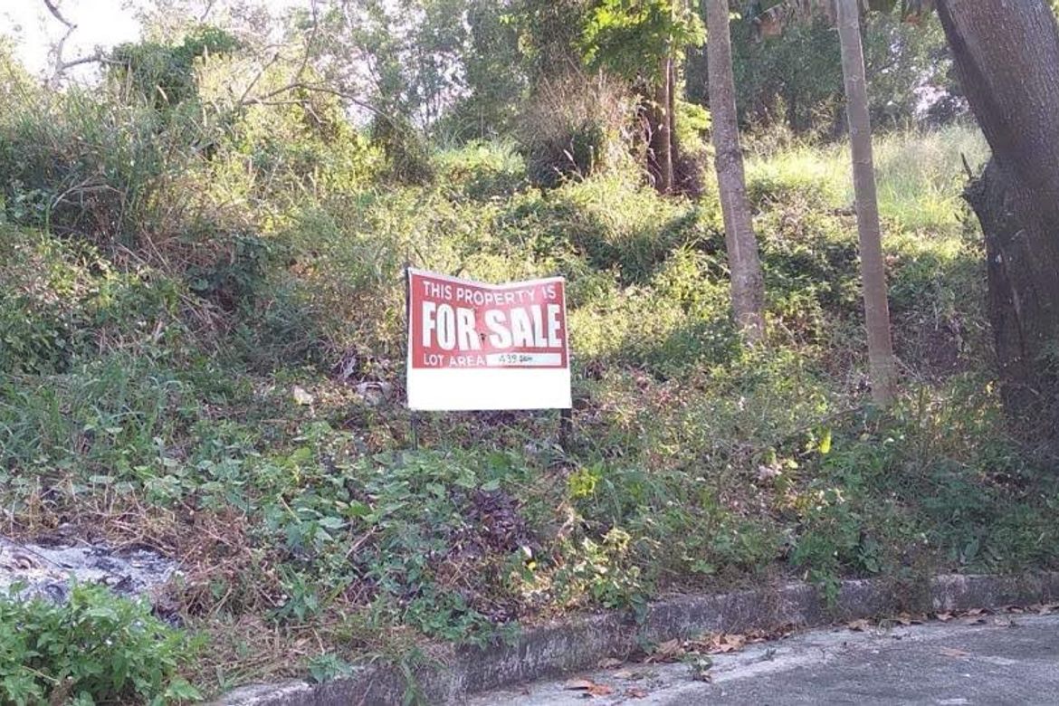 Land for Sale in Bagong Nayon, Antipolo, Rizal – photo 3