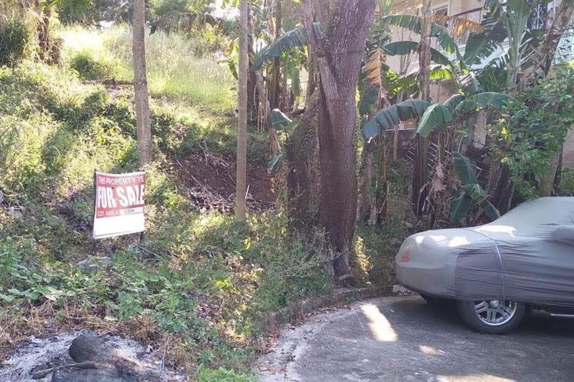 Land for Sale in Bagong Nayon, Antipolo, Rizal – photo 4