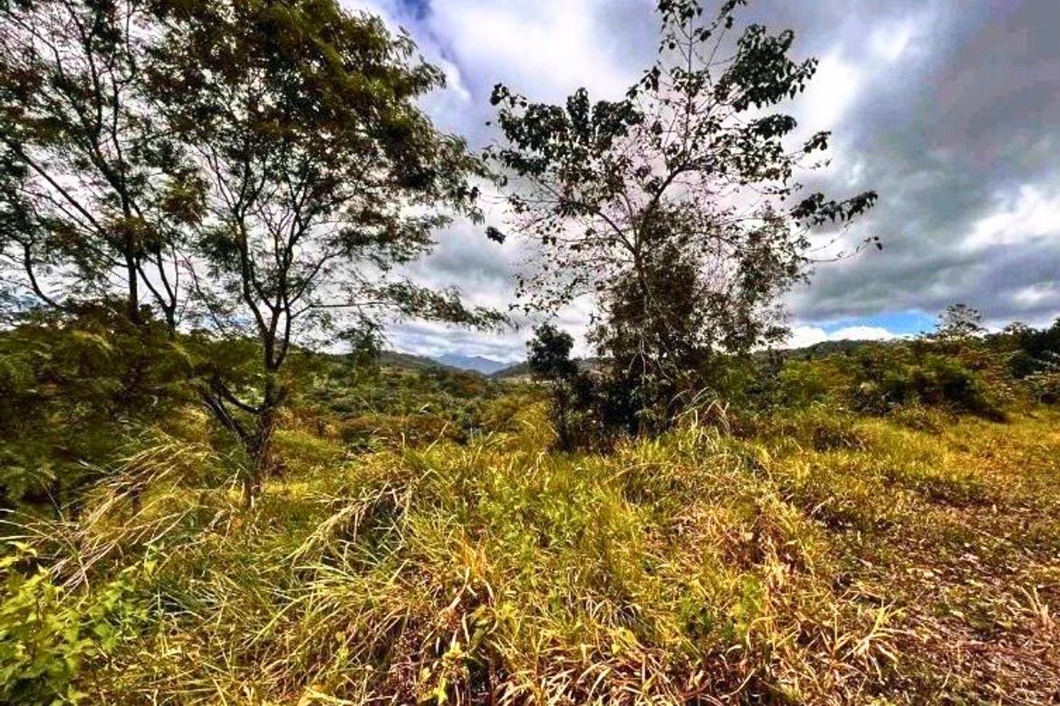 Land for Sale in Bagong Nayon, Antipolo, Rizal – photo 2