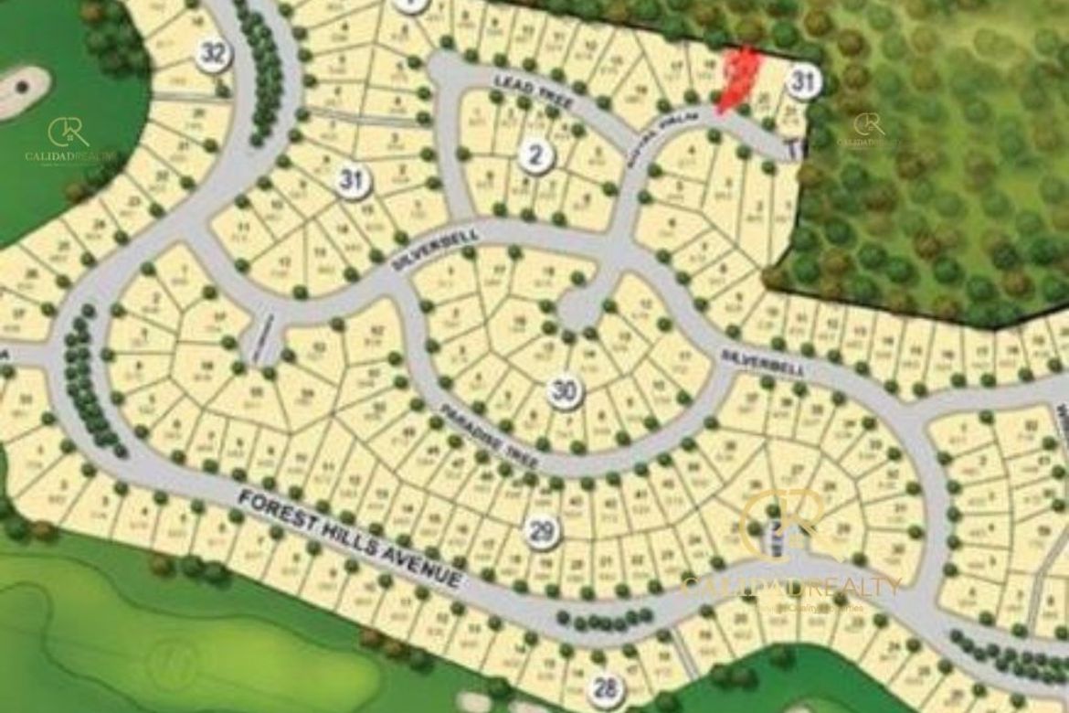 Land for Sale in Bagong Nayon, Antipolo, Rizal – photo 2