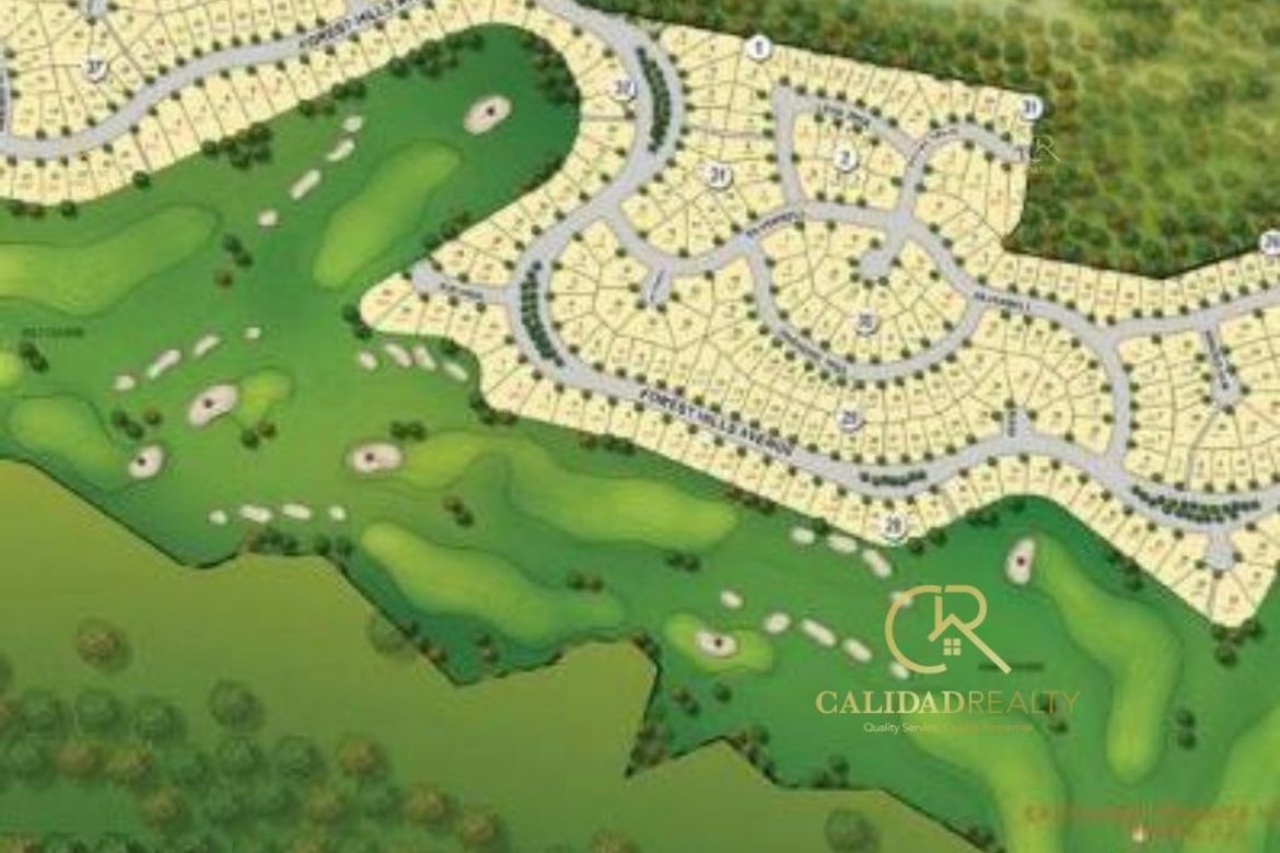 Land for Sale in Bagong Nayon, Antipolo, Rizal – photo 3