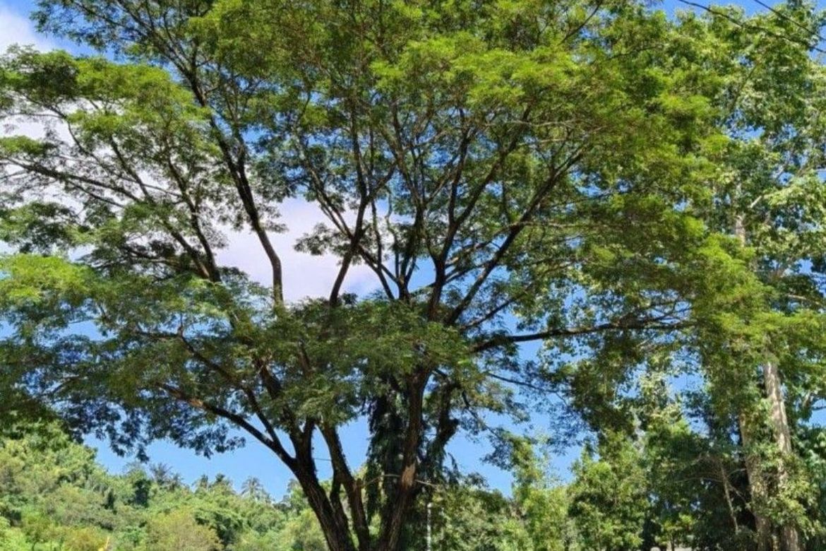 Land for Sale in Bagong Nayon, Antipolo, Rizal – photo 7