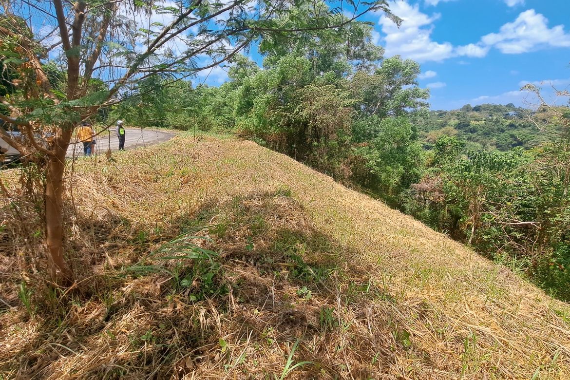 Land for Sale in Bagong Nayon, Antipolo, Rizal