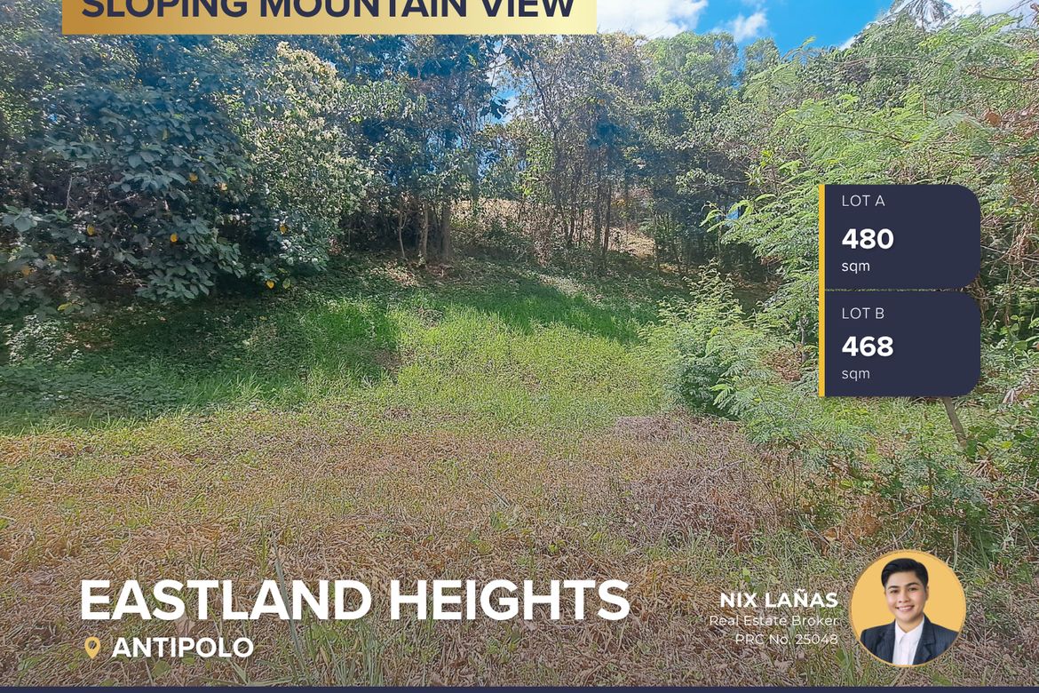 Land for Sale in Bagong Nayon, Antipolo, Rizal – photo 3