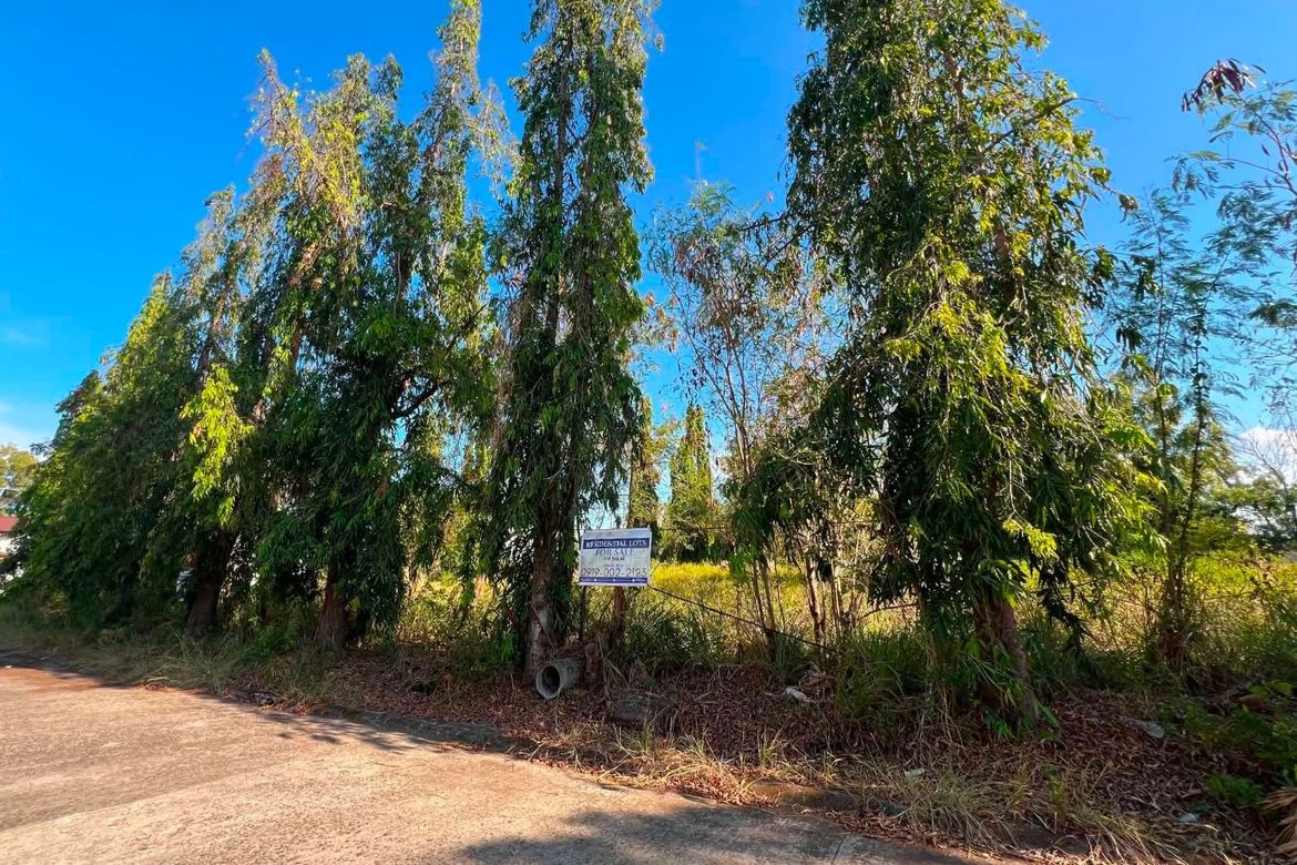 Land for Sale in Bagong Silang, Balanga, Bataan – photo 3