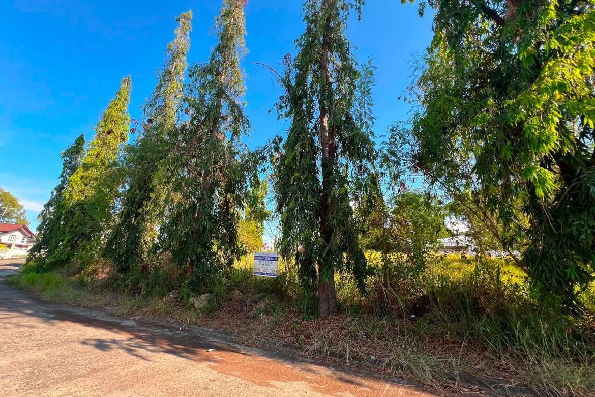 Land for Sale in Bagong Silang, Balanga, Bataan – photo 4