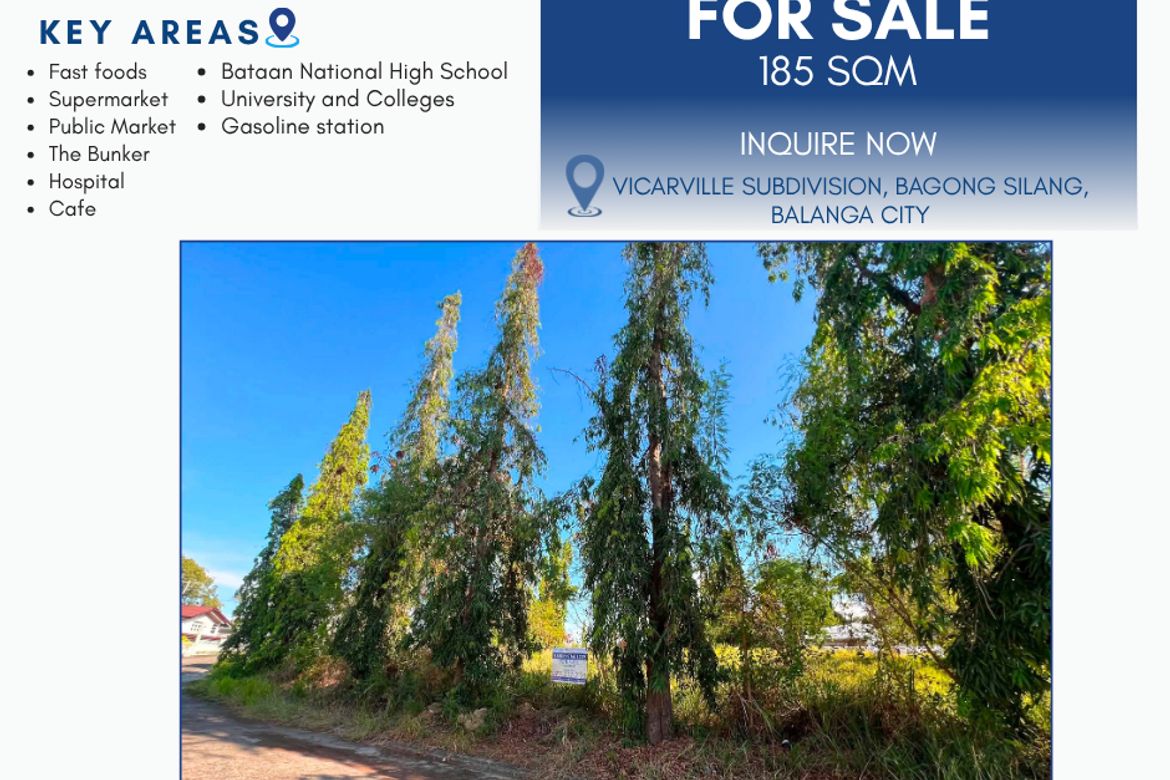 Land for Sale in Bagong Silang, Balanga, Bataan