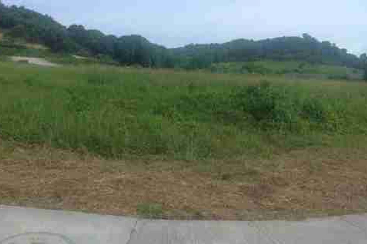 Land for Sale in Bagong Silang, Calatagan, Batangas – photo 3