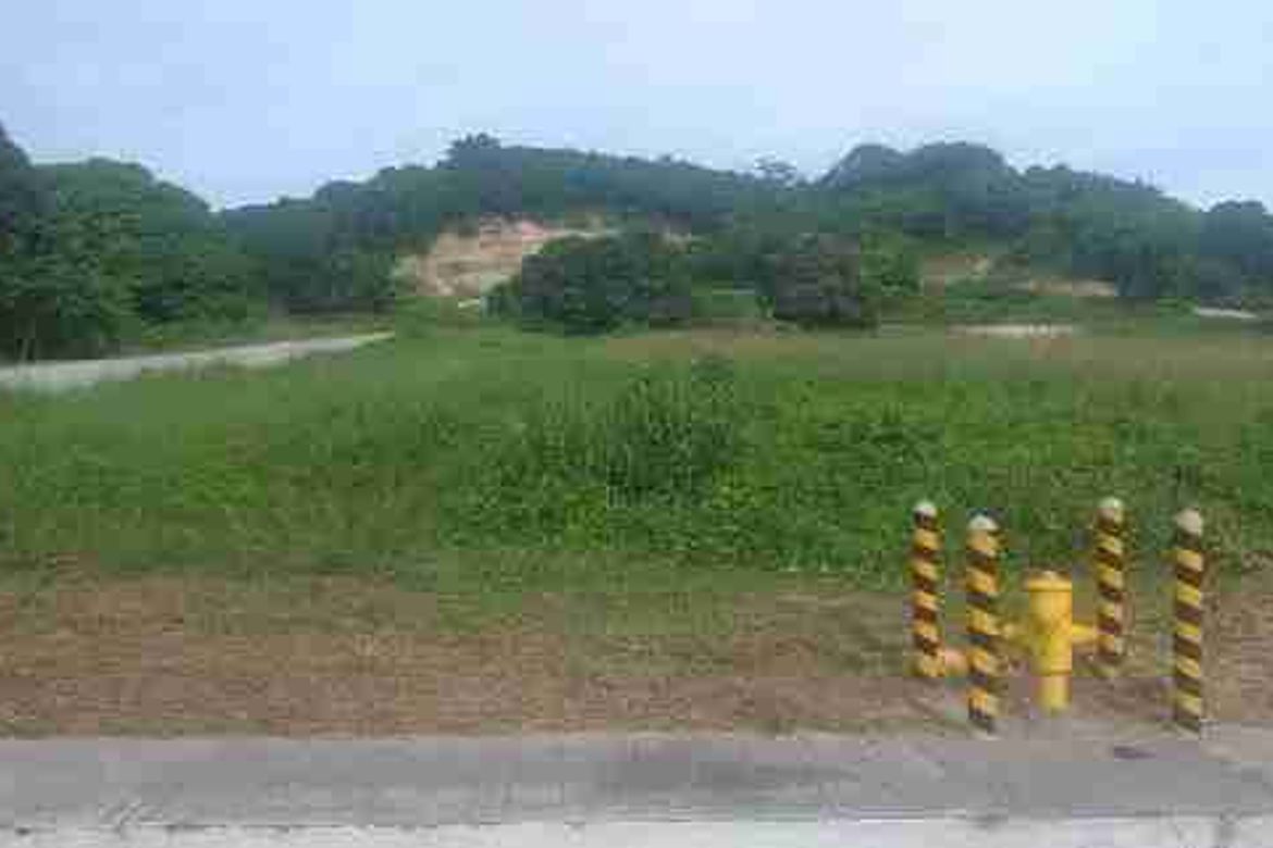 Land for Sale in Bagong Silang, Calatagan, Batangas – photo 4