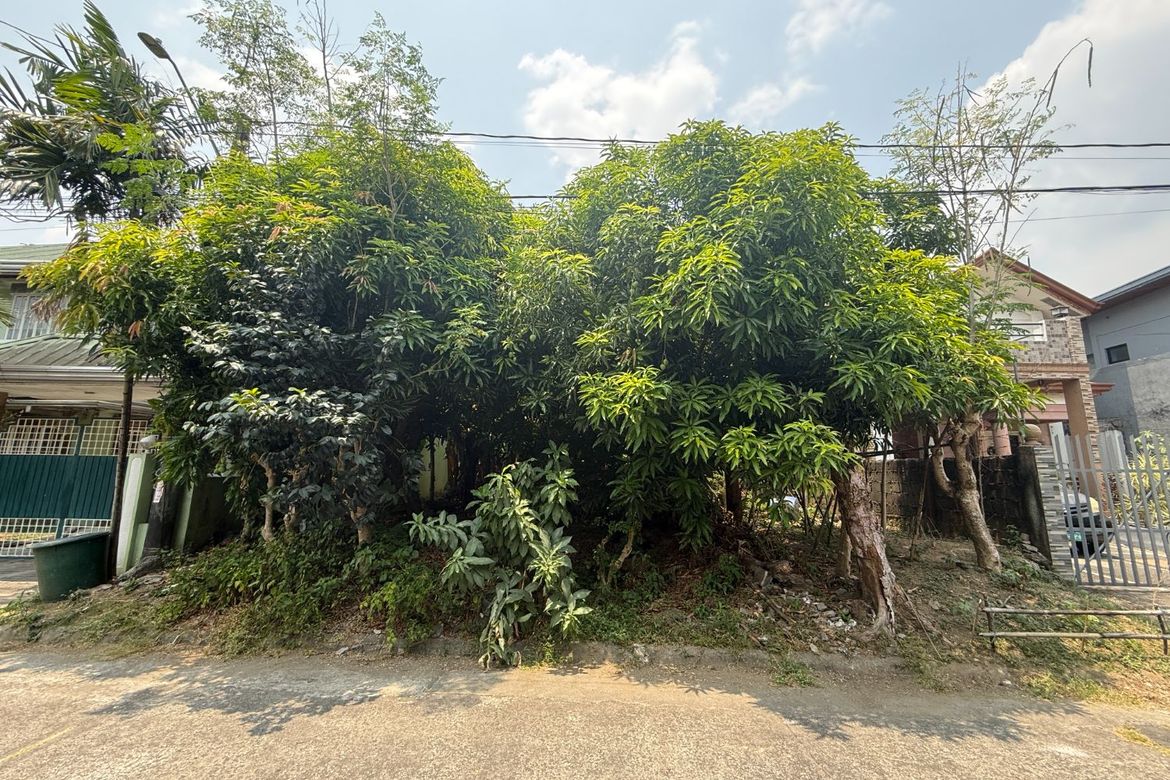 Land for Sale in Bagong Silangan, Quezon City, Metro Manila – photo 2