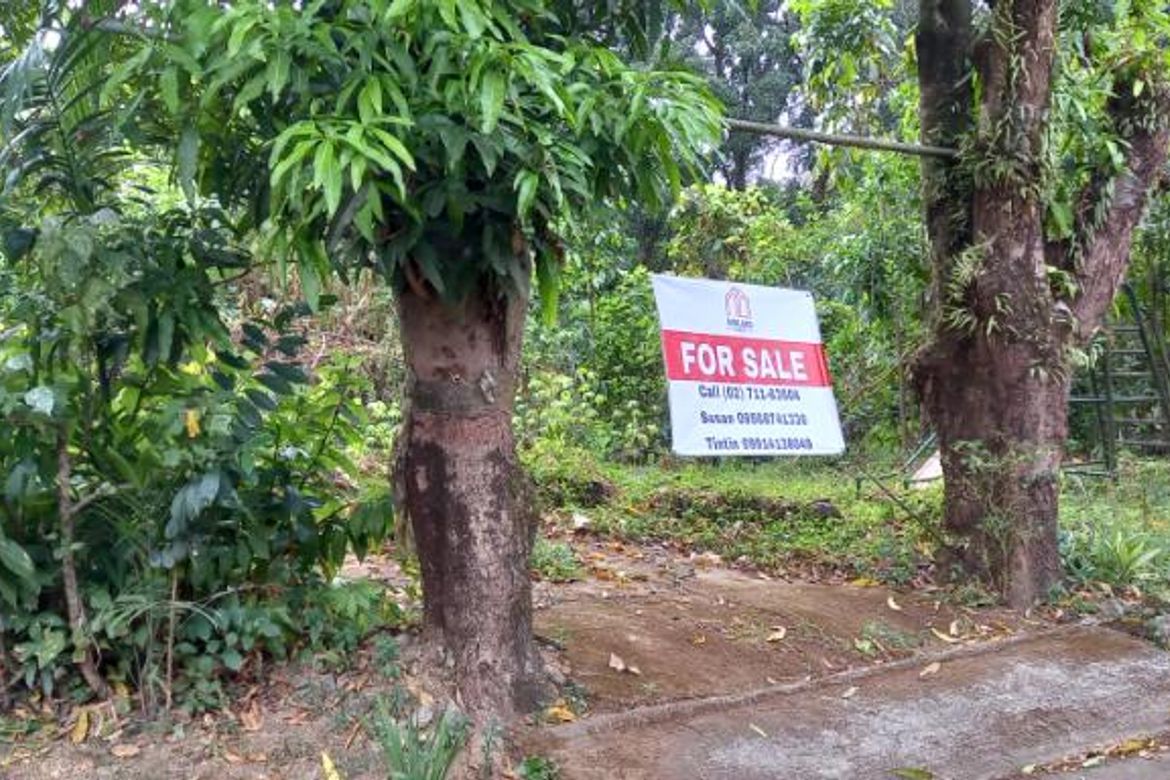 Land for Sale in Bagong Silangan, Quezon City, Metro Manila – photo 3