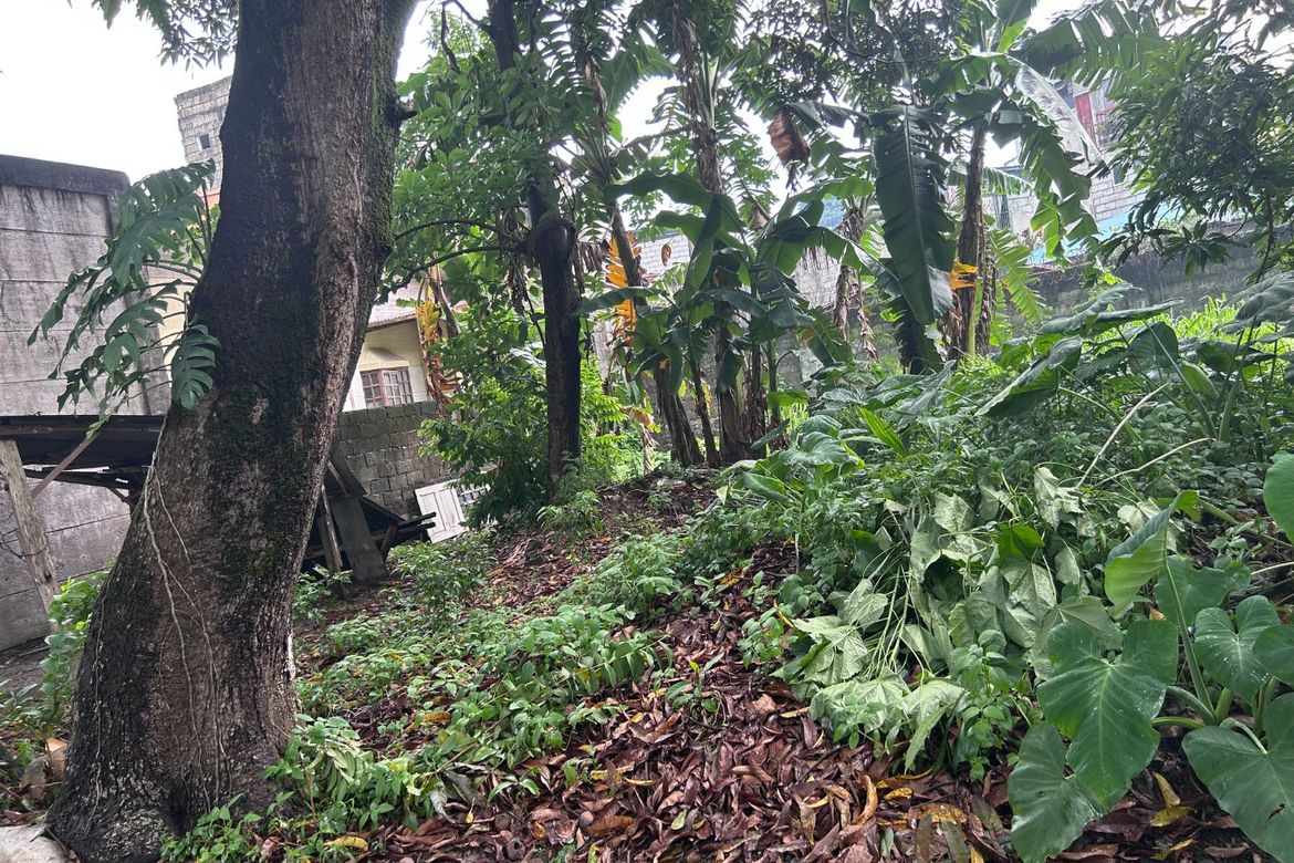 Land for Sale in Bagong Silangan, Quezon City, Metro Manila – photo 4