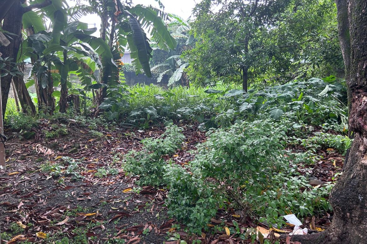 Land for Sale in Bagong Silangan, Quezon City, Metro Manila – photo 6
