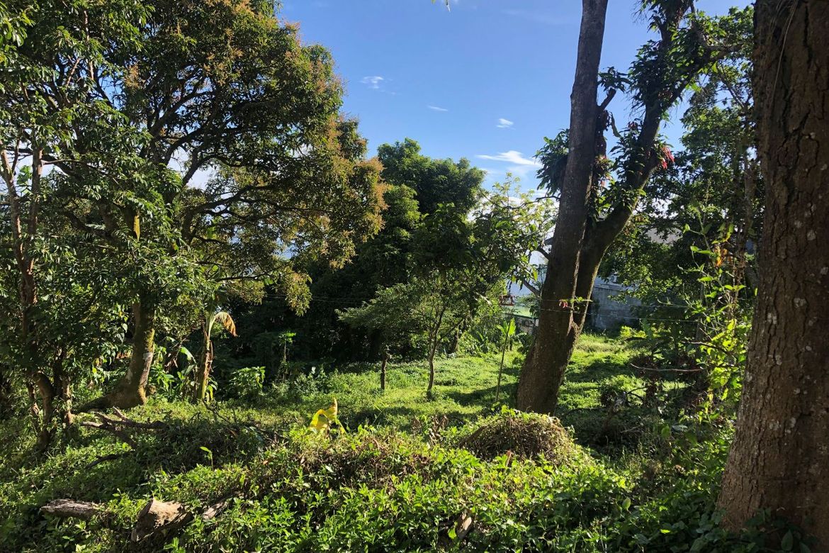 Land for Sale in Bagong Tubig, Tagaytay, Cavite