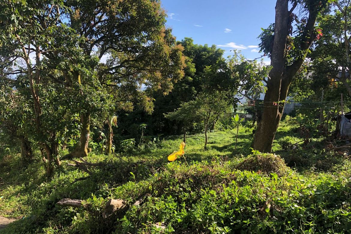 Land for Sale in Bagong Tubig, Tagaytay, Cavite – photo 2