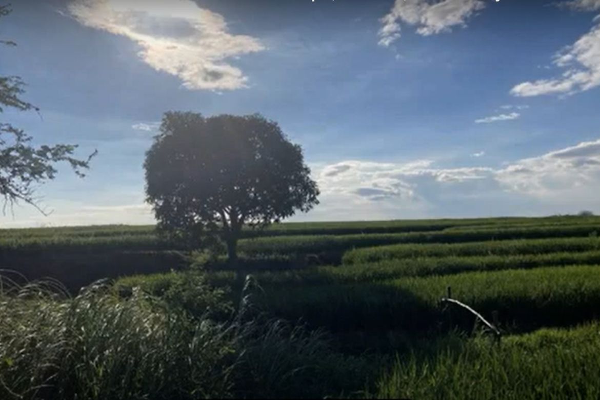 Land for Sale in Bagumbayan, Llanera, Nueva Ecija – photo 6