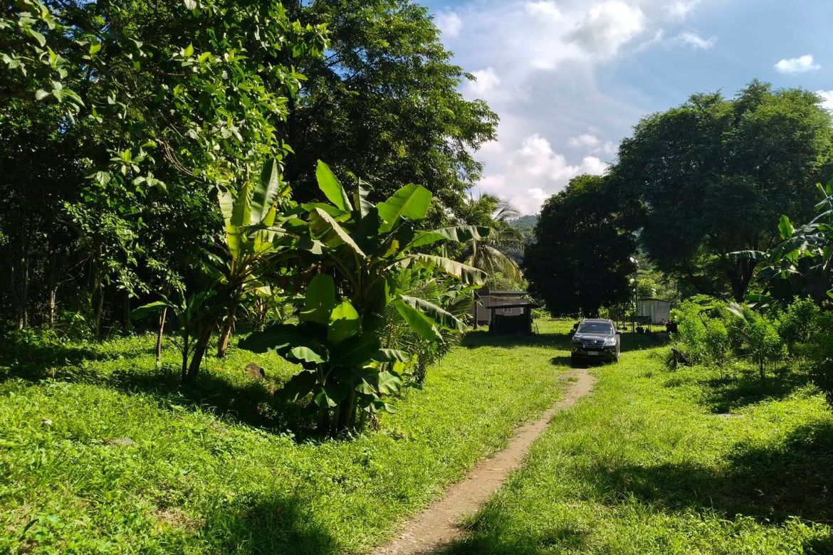 Land for Sale in Bagumbayan, Santa Maria, Laguna – photo 3